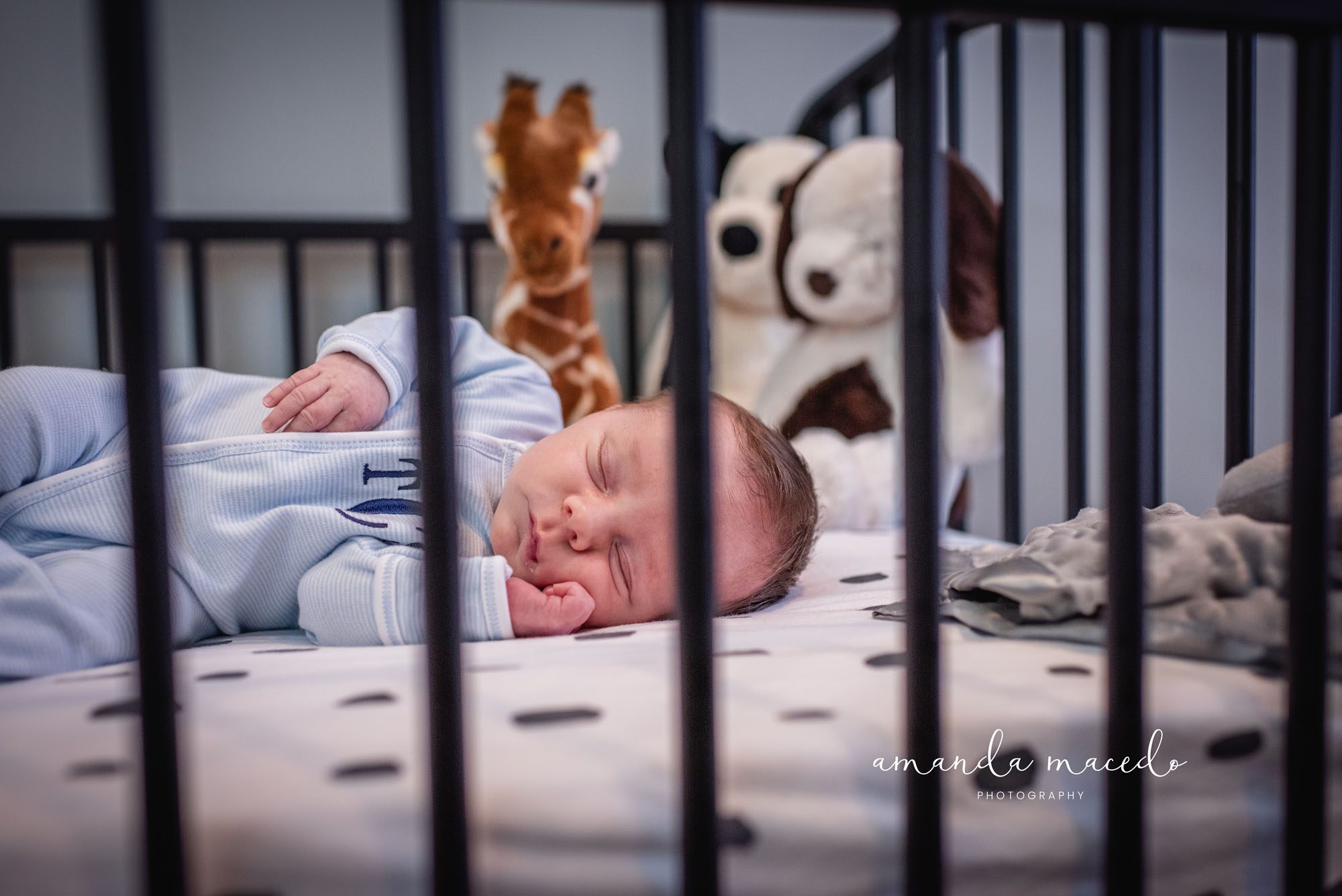 Newborn photographer, newborn baby sleeping in crib