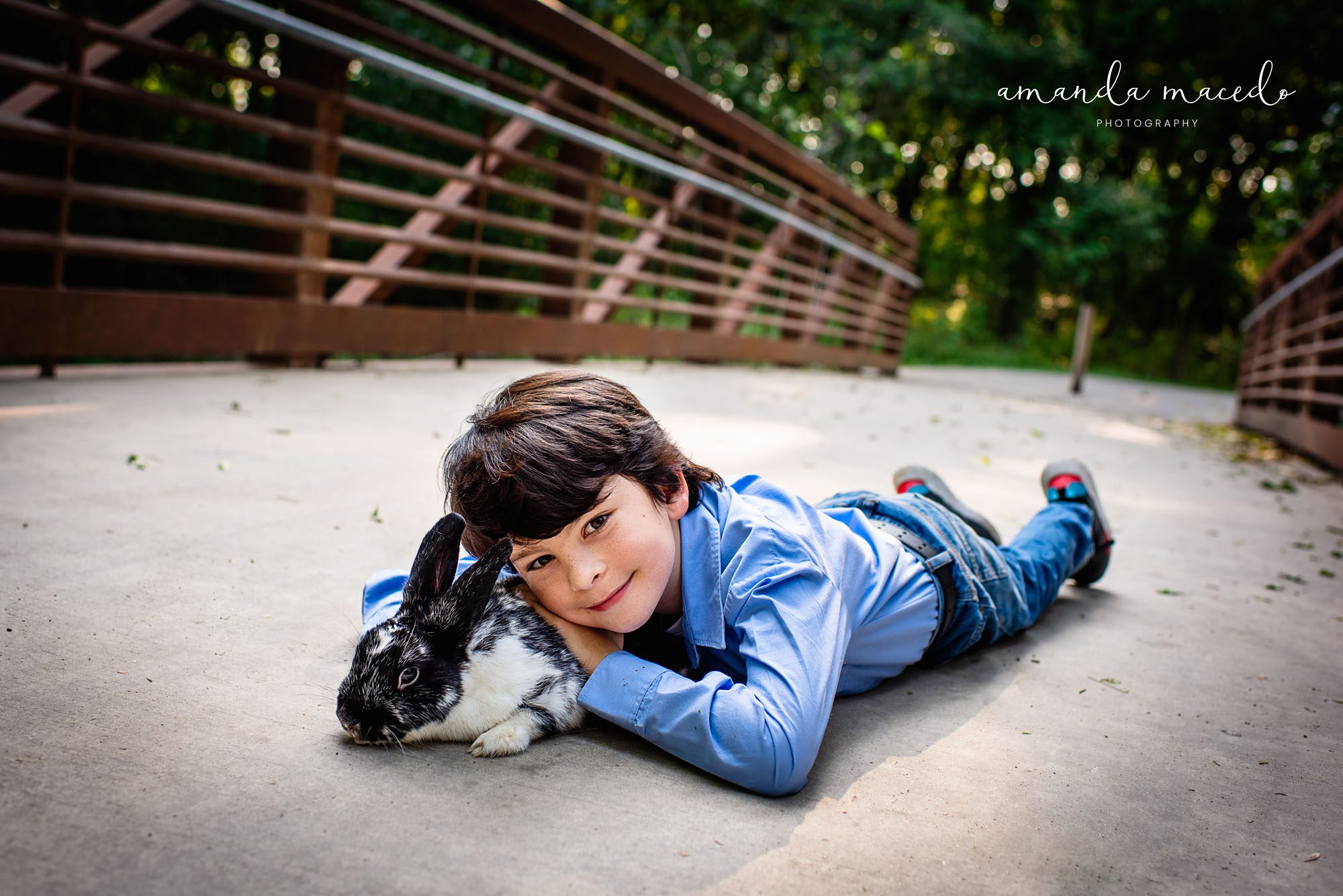 Child photographer, little boy laying on bridge with bunny