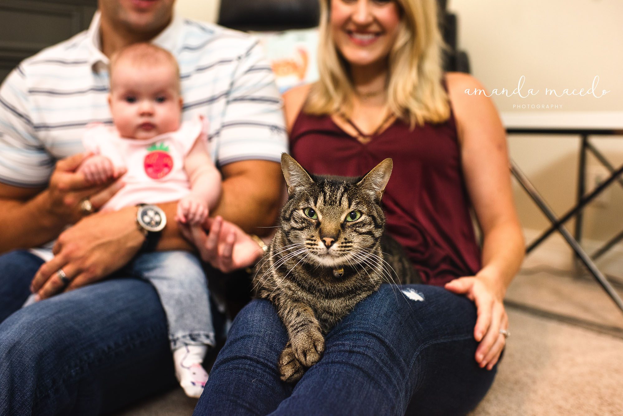 Family Photographer, family with baby and pet cat in nursery