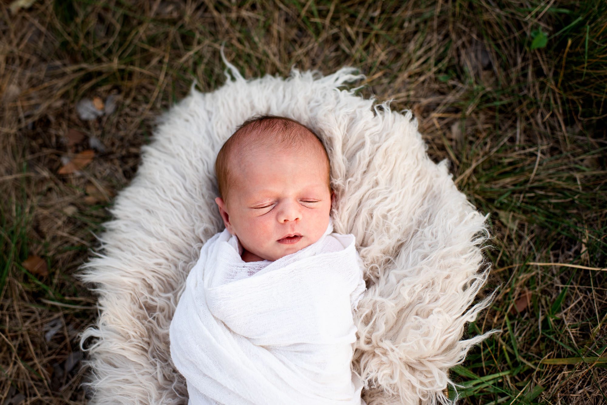 San Antonio newborn photographer, newborn baby sleeping in the grass