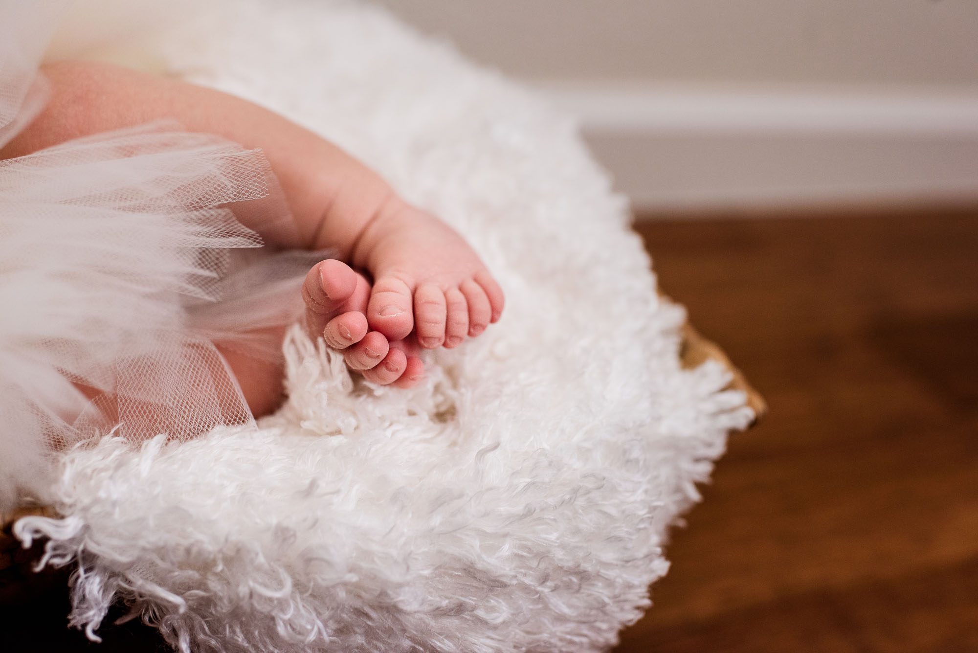Close-up image of newborn feet, San Antonio newborn photographer