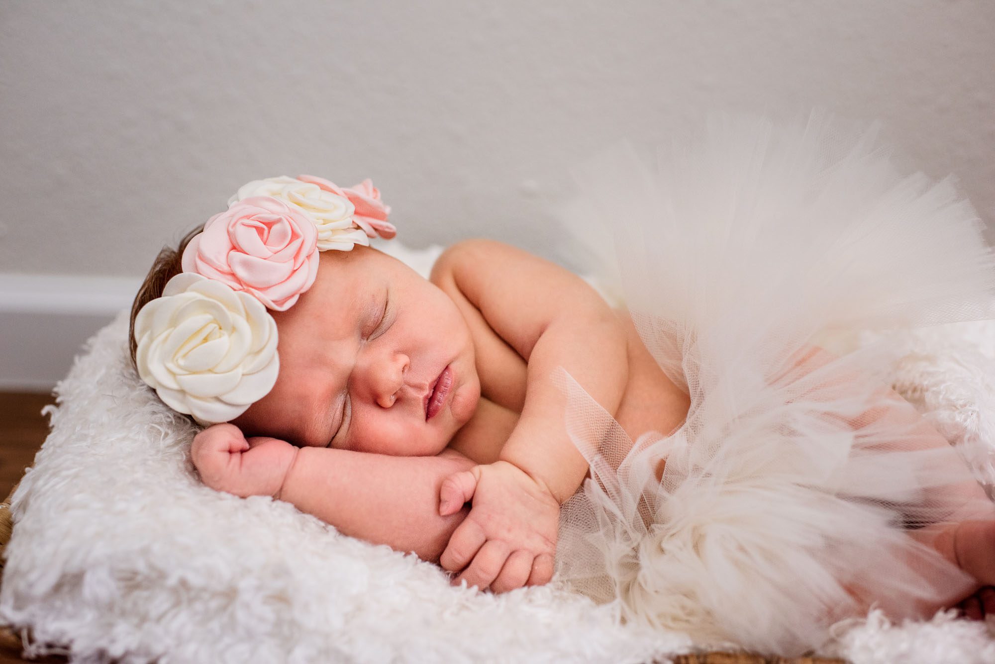 Newborn baby with flower headband and tutu, San Antonio Newborn Photographer