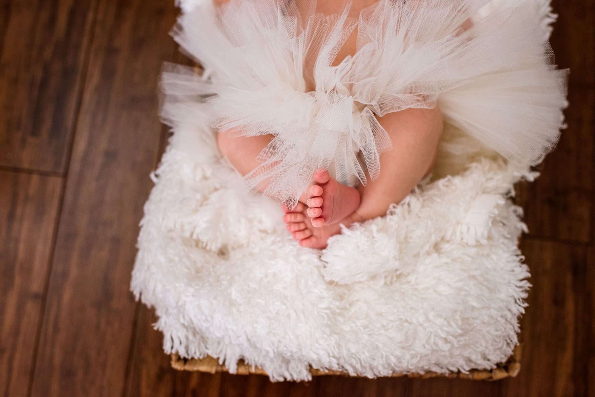 Newborn baby feet, San Antonio Newborn Photographer