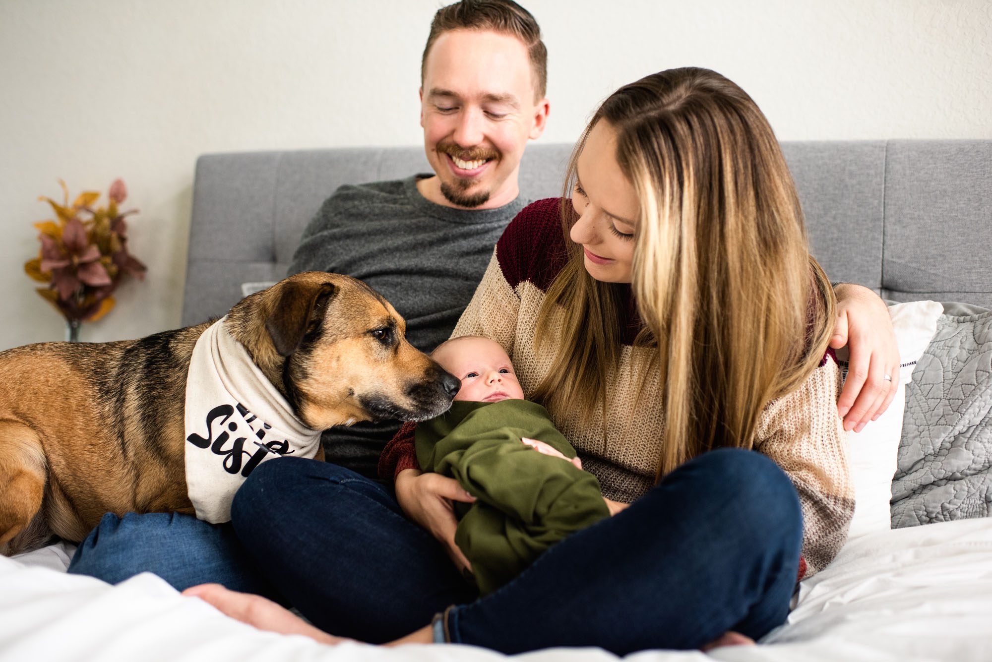 San Antonio Lifestyle Photographer, dog sniffing newborn baby boy