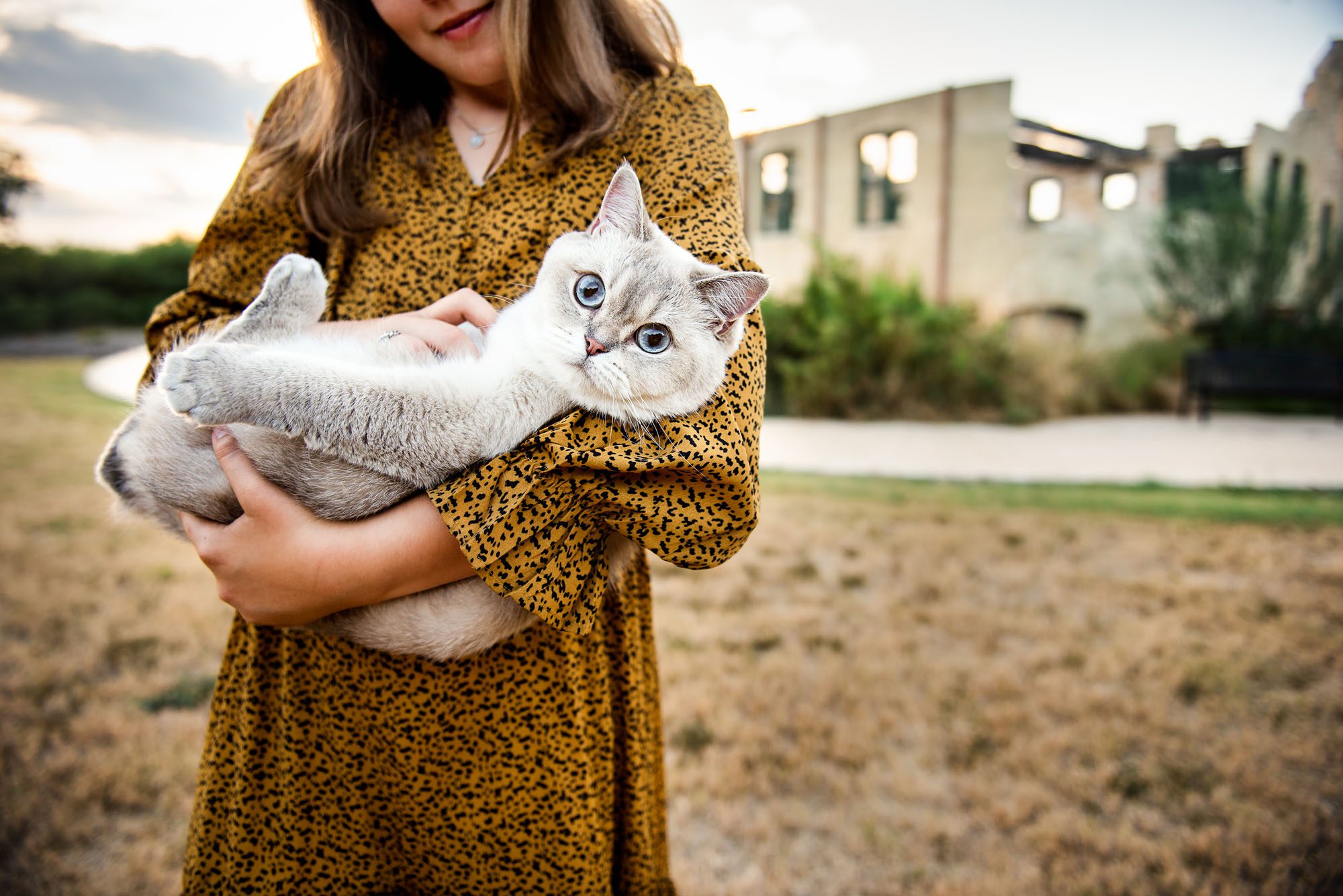 Close up of cat in front of old building, Best San Antonio Family Photographer