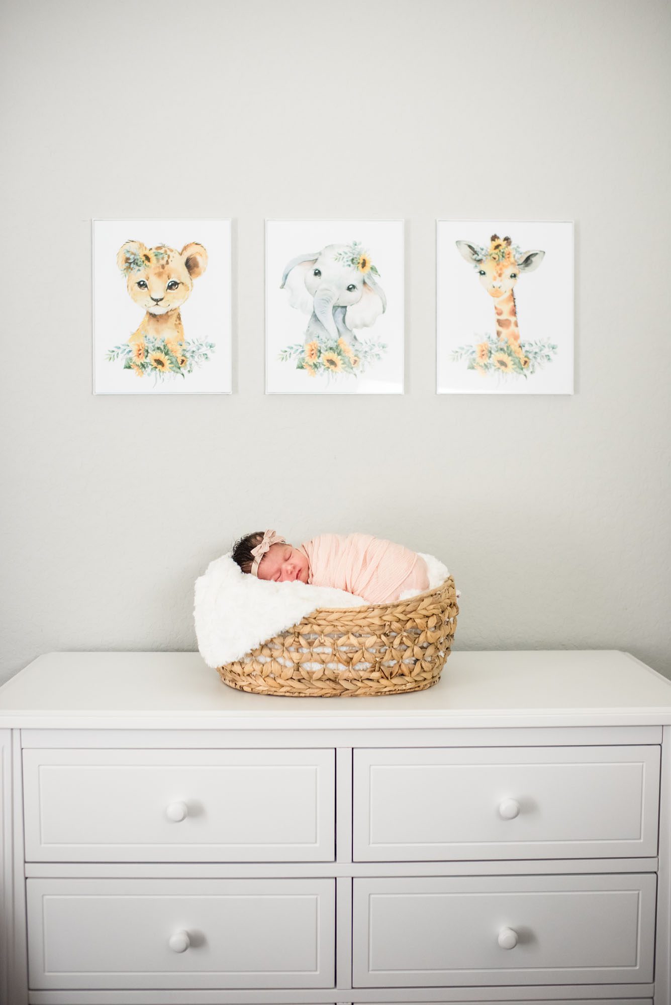 Newborn girl in basket on dresser, San Antonio Newborn Photographer