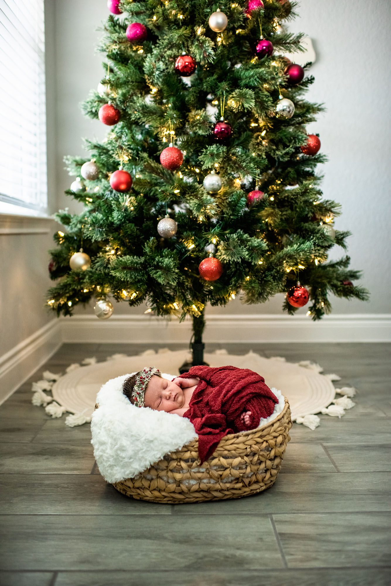 San Antonio Newborn Photographer, Baby sleeping under Christmas tree