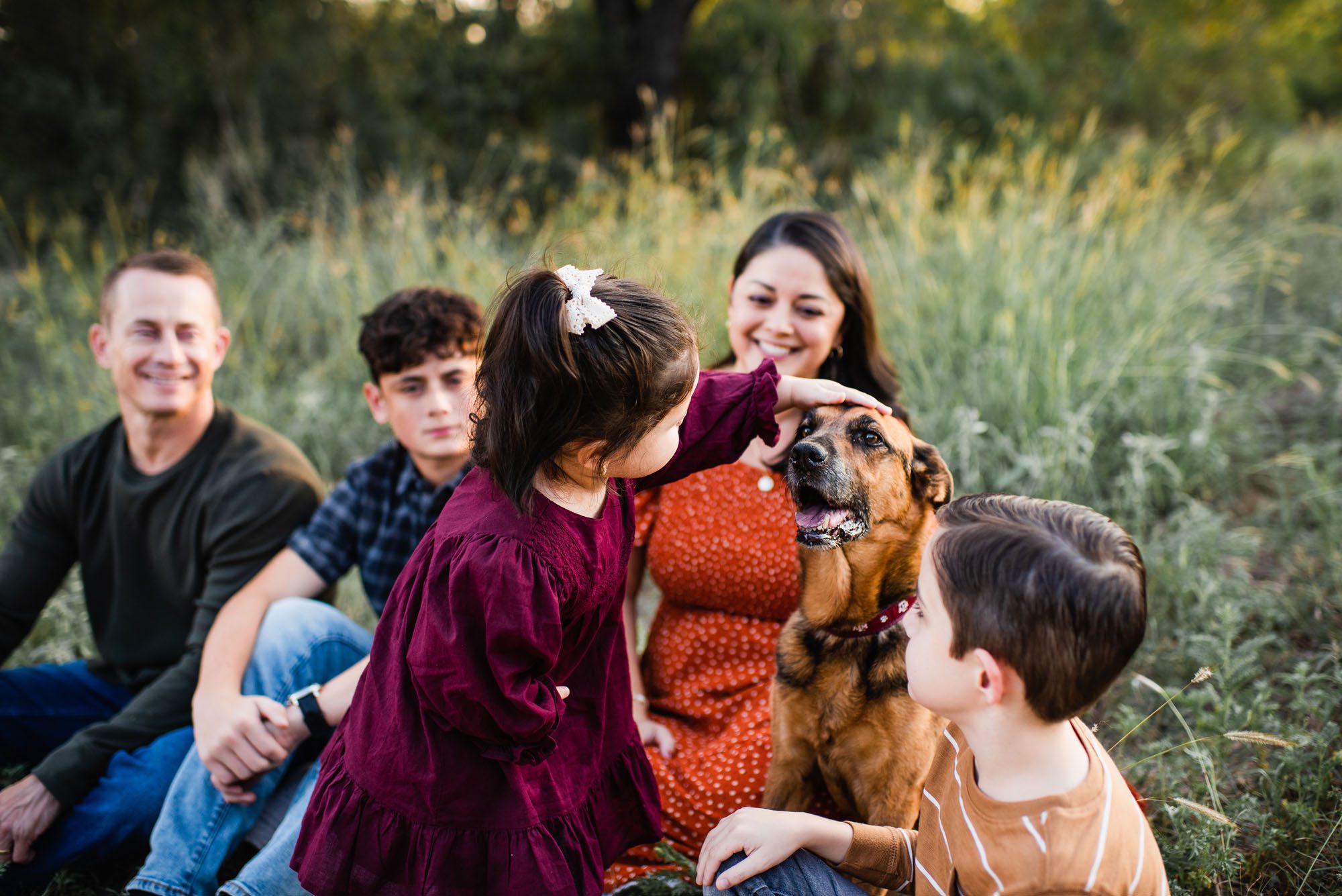 Little girl petting her dog in a field, San Antonio family photographer