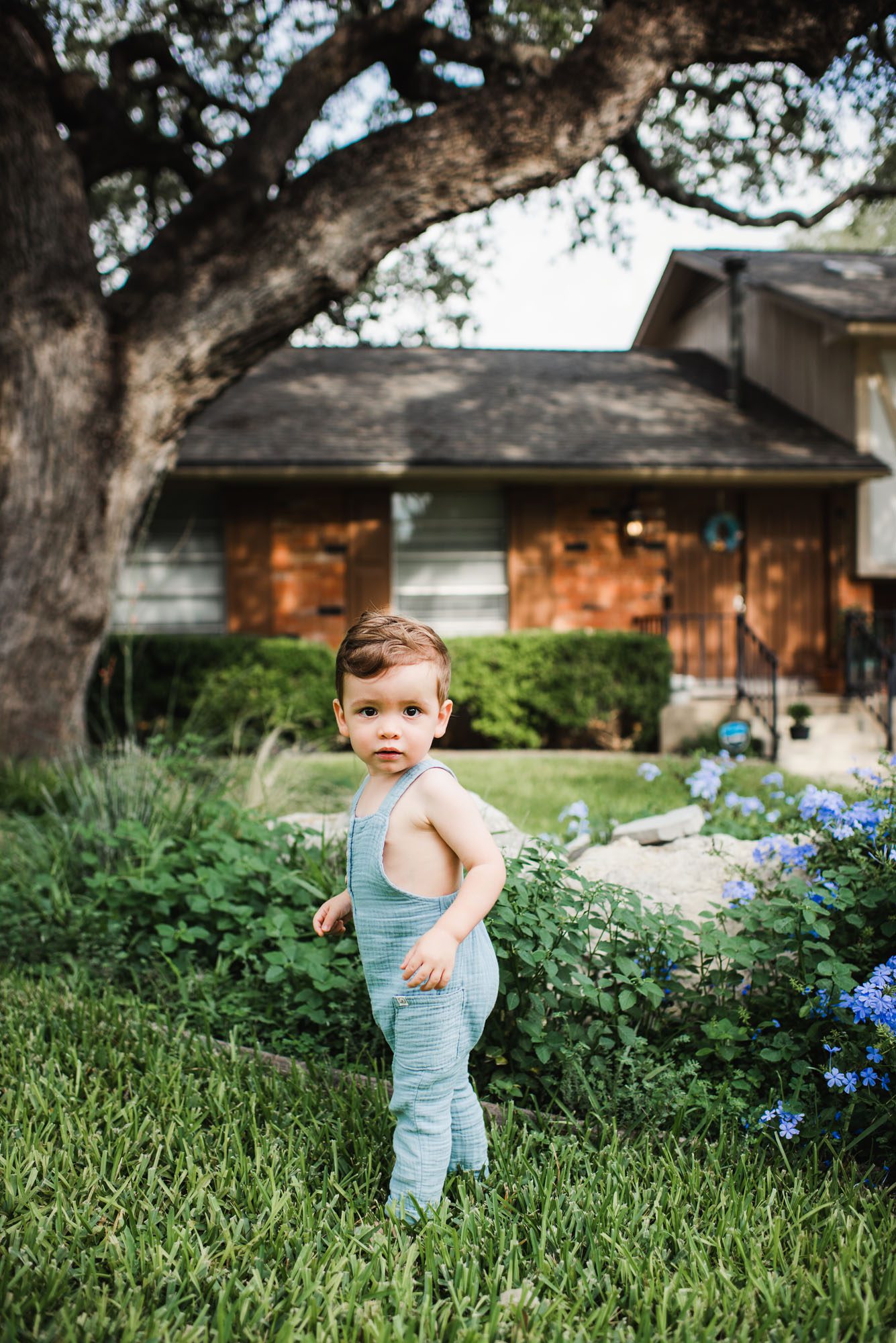 Toddler standing in front yard, San Antonio family newborn photographer