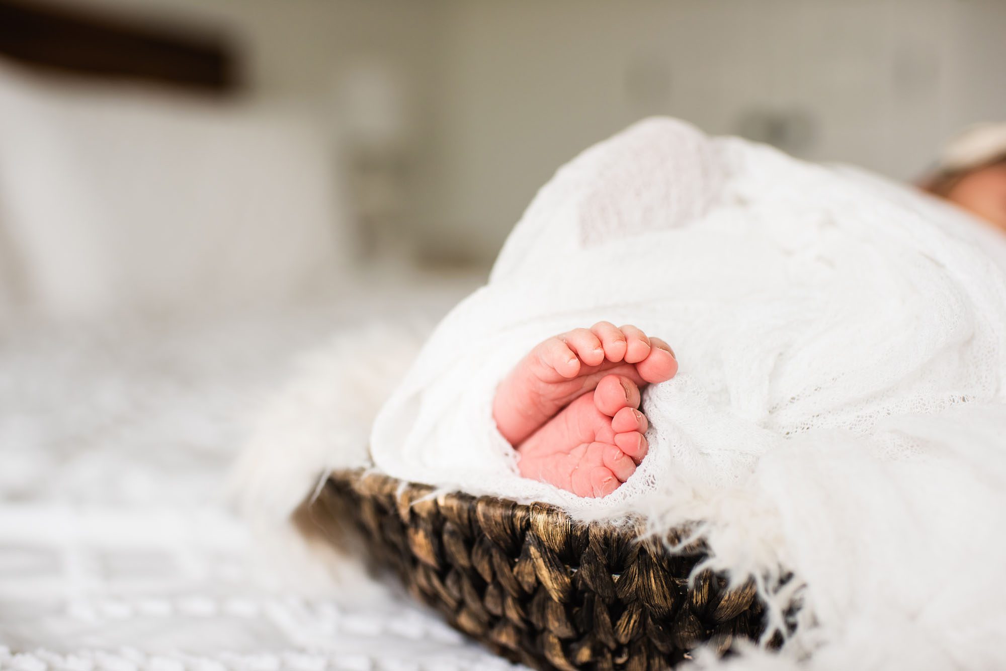 Detail shot of newborn feet, San Antonio Newborn Photographer