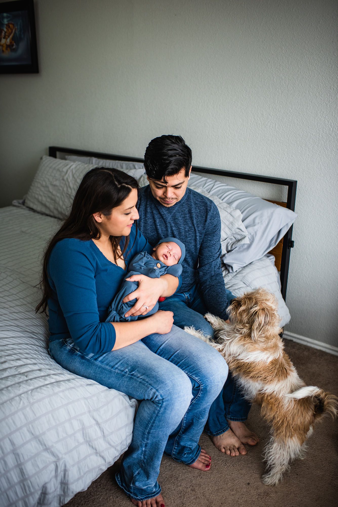 Dog looking at baby in mother's arms, San Antonio Lifestyle Newborn Photographer
